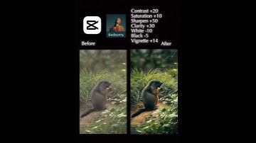 Capcut Cinematic moody colour grading tutorial. #capcut #viralvideo #viralvideochallenge #videoedit