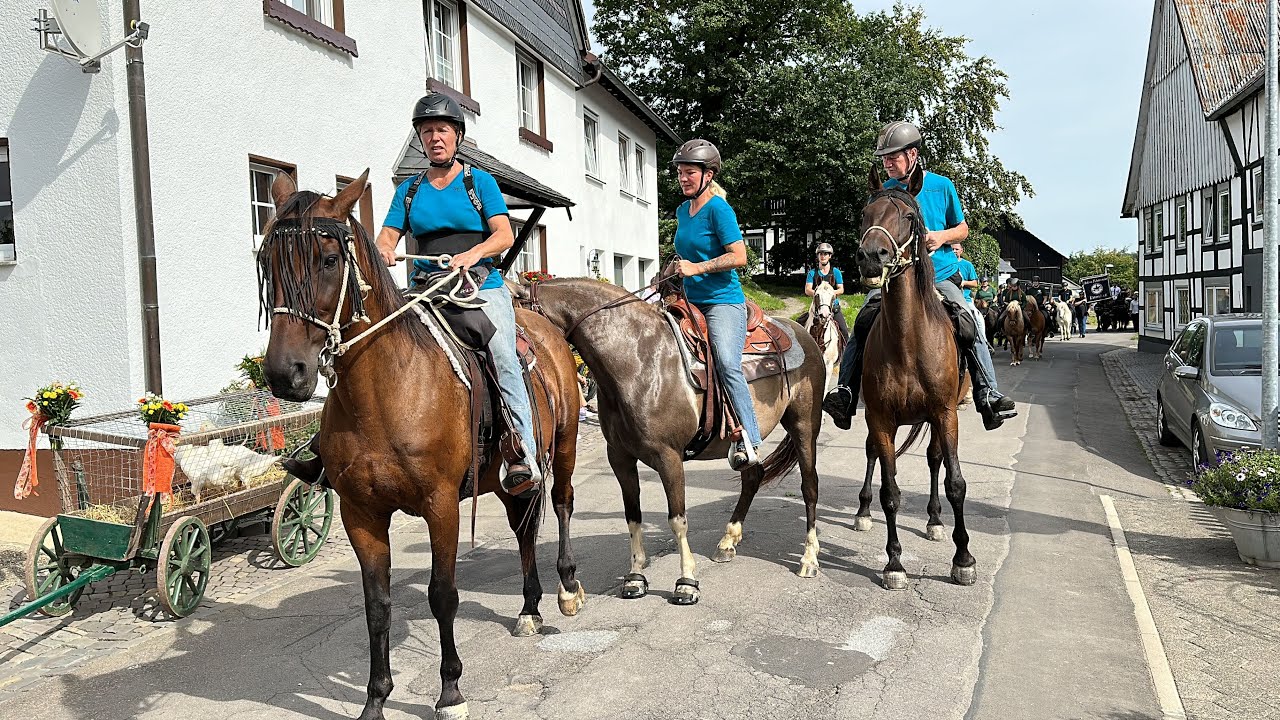 Mutige Reiter kämpfen im Sauerland um Gänse