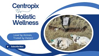 Centropix Kloud Calving Kit | Lynelle J