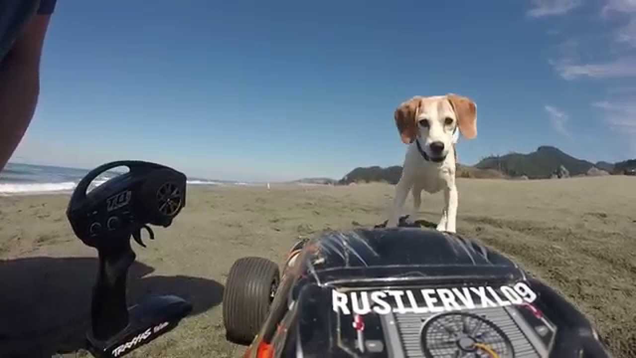 Traxxas Rustler Vxl beach fun With GoPro