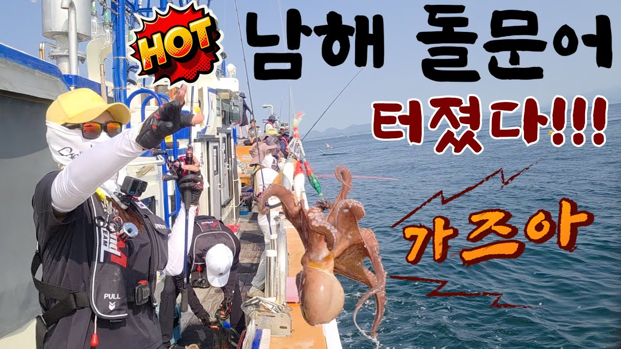 남해 돌문어 금어기 해제 다음날 여수로 ...