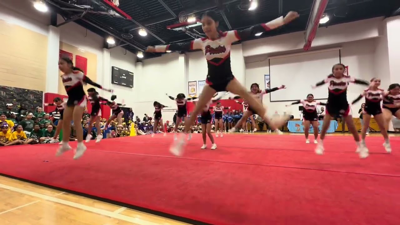 Cheer Competition Highlights 2026