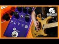 Revv G3 | High Gain Distortion Pedal That Doesn't Sound Shite!