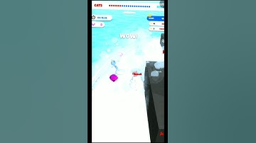 The Secret History of Cat Mouse.io