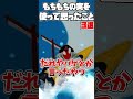 【ブロックスフルーツ】もちもちの実を使ってて思ったこと3選!