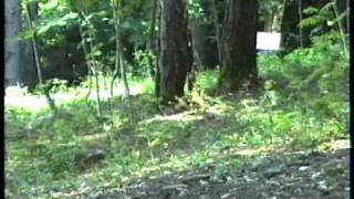 trento bondone 1999..parte2.avi