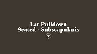 Lat Pulldown - Seated - Subscapularis