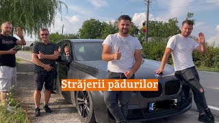 Străjerii pădurilor. Povestea tinerilor care vânează hoții de lemne din Bucovina | Drumul lemnului 2