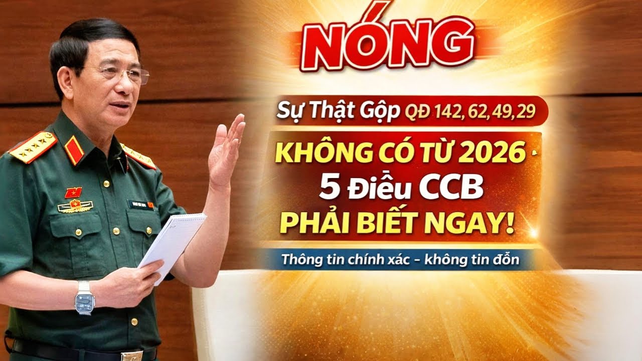Sự Thật Gộp QĐ 142, 62, 49, 290: Không Có Từ 2026 – 5 Điều CCB Phải Biết Ngay!