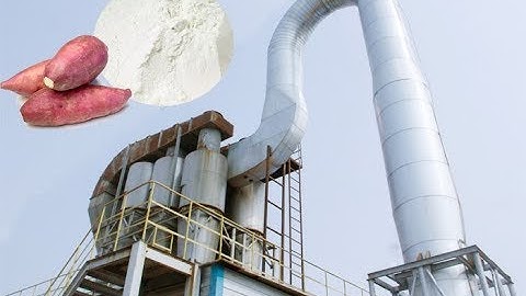 Sweet potato starch processing plant operation sweet potato starch production process