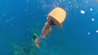 Underwater Video | Captured by Go Pro Max 🎥