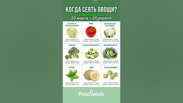 🌱 Когда сеять овощи на рассаду в 2025 году? Сохраняйте в закладки! В помощь огороднику
