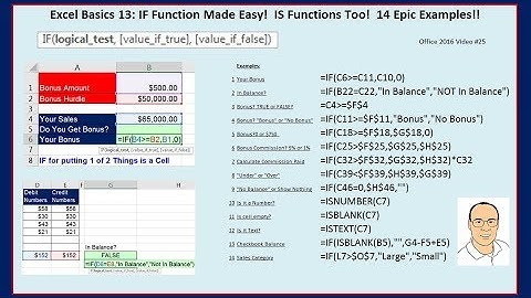 Excel Basics 13: IF Function Made Easy!  IS Functions Too!  14 Epic Examples!!