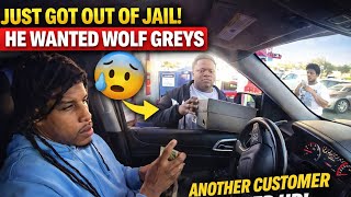 Fresh out jail only thing on his mind was wolf greys 