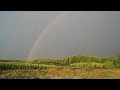 венславські прогулянки