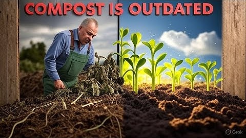 Composting Is Outdated – This Method Beats It Every Time