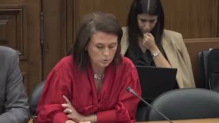 01-07-2026 | Audição regimental do Ministro da Educação, Ciência e Inovação | Aida Carvalho