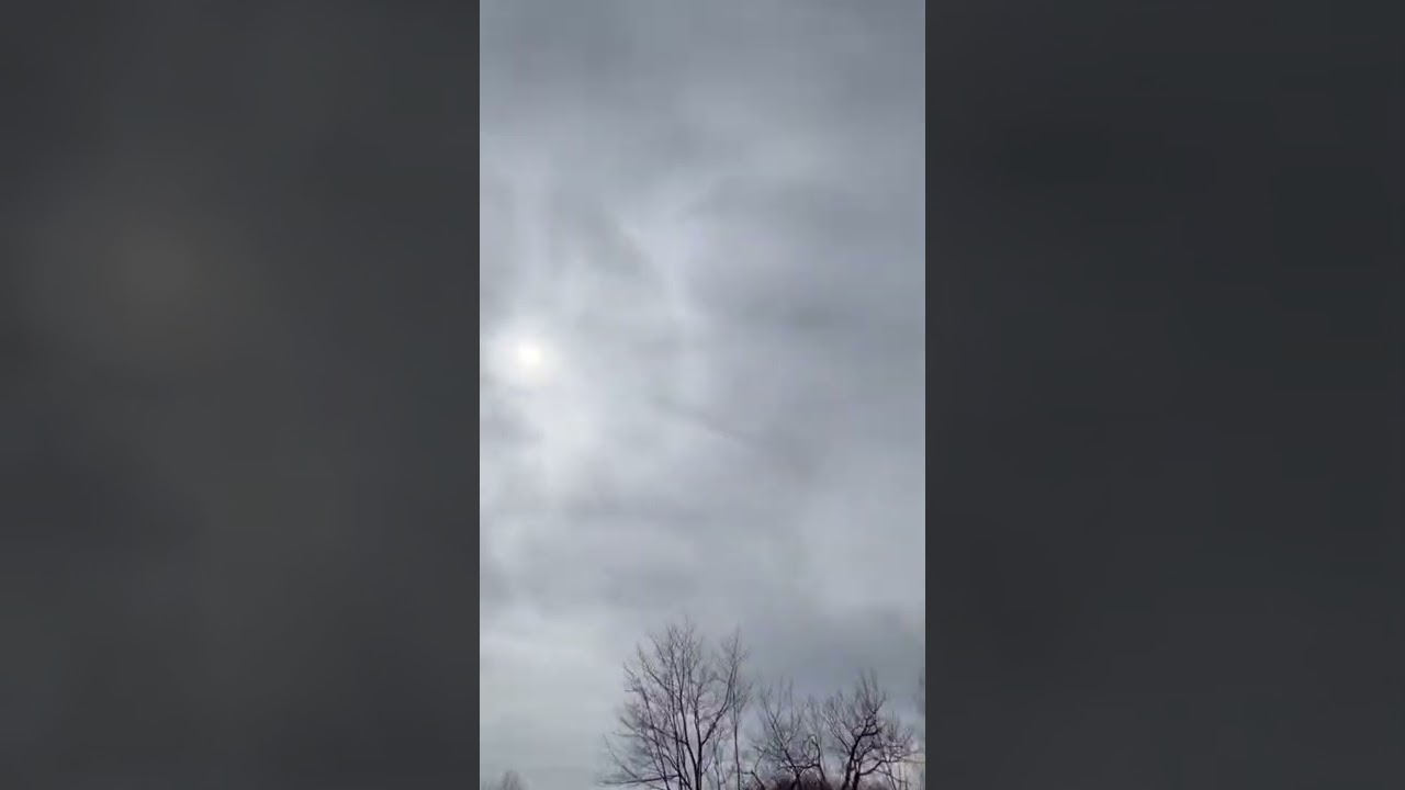 Jester Rocket 🚀 - 