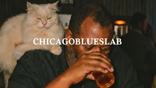 Chicago Blues Lab – Steam Noon Laundromat | Old School Whiskey Blues | Official Music Video 2026