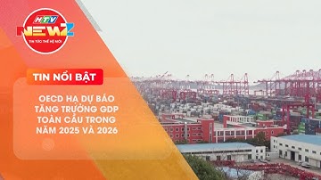 OECD HẠ DỰ BÁO TĂNG TRƯỞNG GDP TOÀN CẦU TRONG NĂM 2025 VÀ 2026