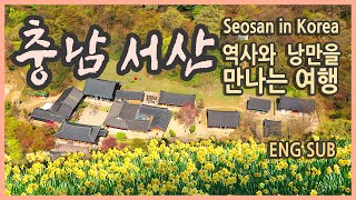 충남 서산여행 / 역사와 낭만을 만나는 여행 & 맛집 / 국내여행, 유기방가옥 수선화, 서산목장, 개심사 청벚꽃, 서산마애삼존불, 해미읍성, 국내행지추천