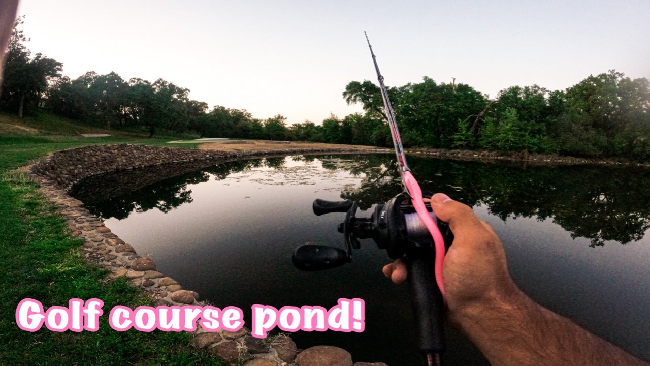 BED FISHING GOLF COURSE PONDS!! BASS FISHING