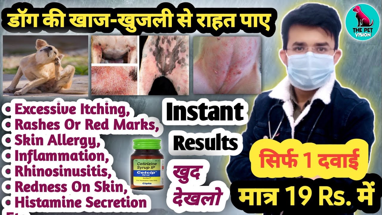 Cetirizine Syrup For Dogs/Cats मात्र Rs. 19 में डॉग की खाजखुजली से