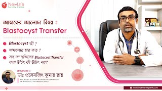 Blastocyst Transfer