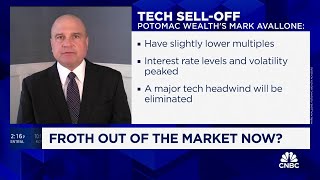 Market pullback eliminated 'froth' in equities, says Potomac Wealth's Mark Avallone