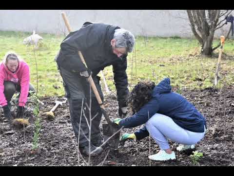 Old Bawn Community School - Stepping Stone Forest Planting Day