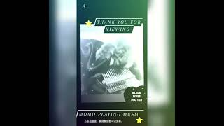 Mo Mo Cute Shake Shake Photoshoot