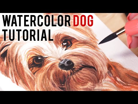 Video: Cách Vẽ Một Chú Chó Sục Yorkshire Bằng Bút Chì