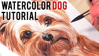 How to Paint a Yorkshire Terrier Dog in Watercolor