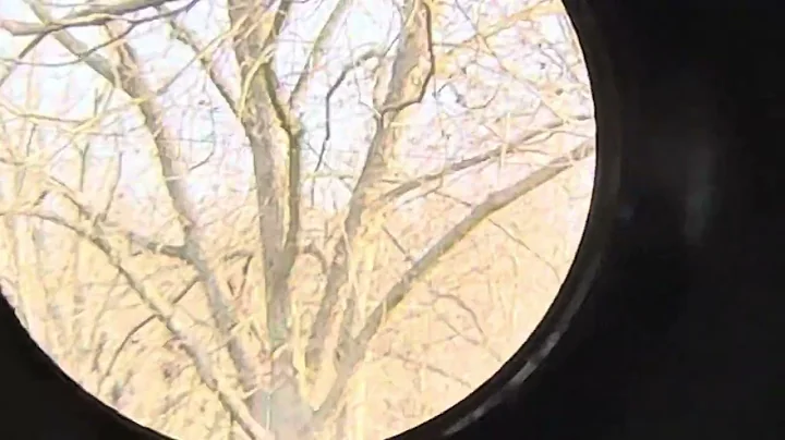 FX Dynamic 500 .22cal @912airguns