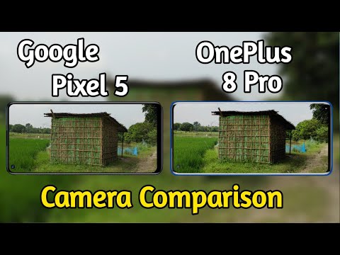 Google Pixel 5 VS OnePlus 8 Pro Camera Comparison, Pixel 5 Camera Review,OnePlus 8 Pro Camera Review