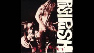 push push- blondes