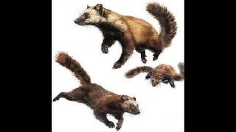 Integration Testing with the Critter Stack