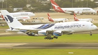 SYDNEY'S FINEST MORNING Heavies | Sydney Airport Plane Spotting