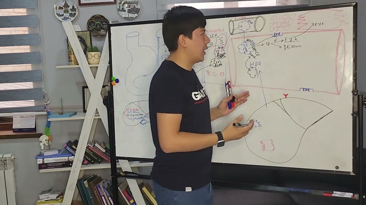 Yog'lar almashinuvi. Ma