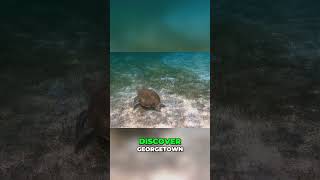 Top 10 Must Do Adventures in Grand Cayman Island  #travelguide  #travel  #travelvlog  #caribbean