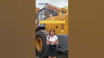 Lái máy xúc cần bằng gì