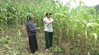 Tin Tức 24H Mới Nhất Hôm Nay Tăng Cường Đảng Viên Biên Phòng Cắm Bản