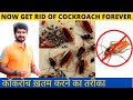 Odorless cockroach treatment | Cockroach control treatment | How to get rid of cockroach |  gel