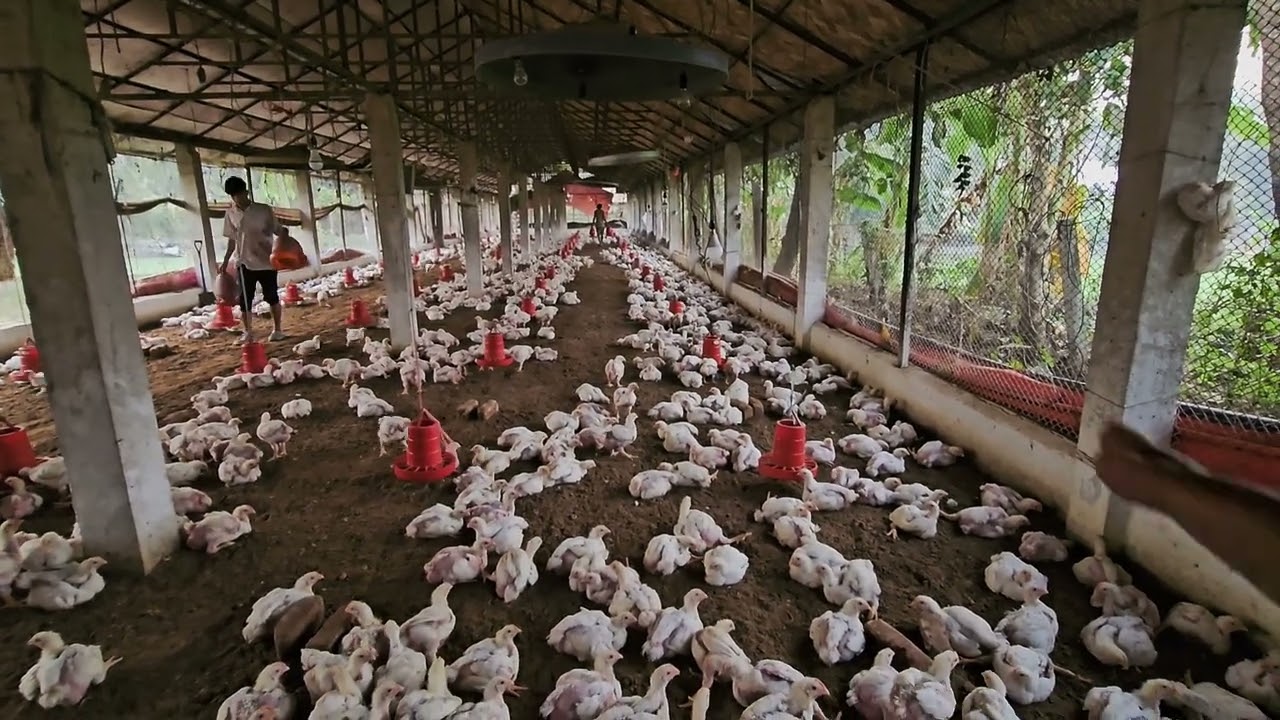 শীতের শেষে রোগ জীবাণু এবং ভাইরাসের প্রভাব বেশি থাকে_