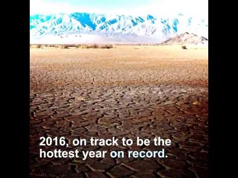 Video: WMO Tiivisti Yhteen Vuoden Ilmastotulokset - Vaihtoehtoinen Näkymä