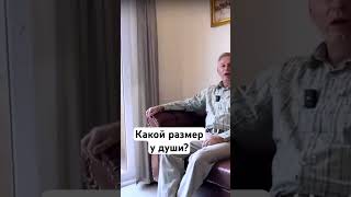 Какой Размер У Души #Василийтушкин #Враджендракумар #Vrajendraru #Shorts #Веды #Знание #Бог #Вера