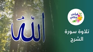 تلاوة سورة الشرح من روائع الشيخ ياسر سلامة #قرآن #تلاوات #تلاوة_خاشعة