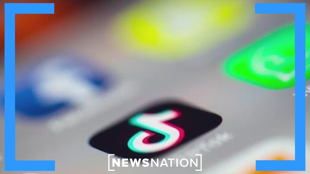 Trump asks Supreme Court to pause TikTok ban | NewsNation Now