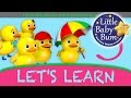 Let's Learn Five Little Ducks! With LittleBabyBum