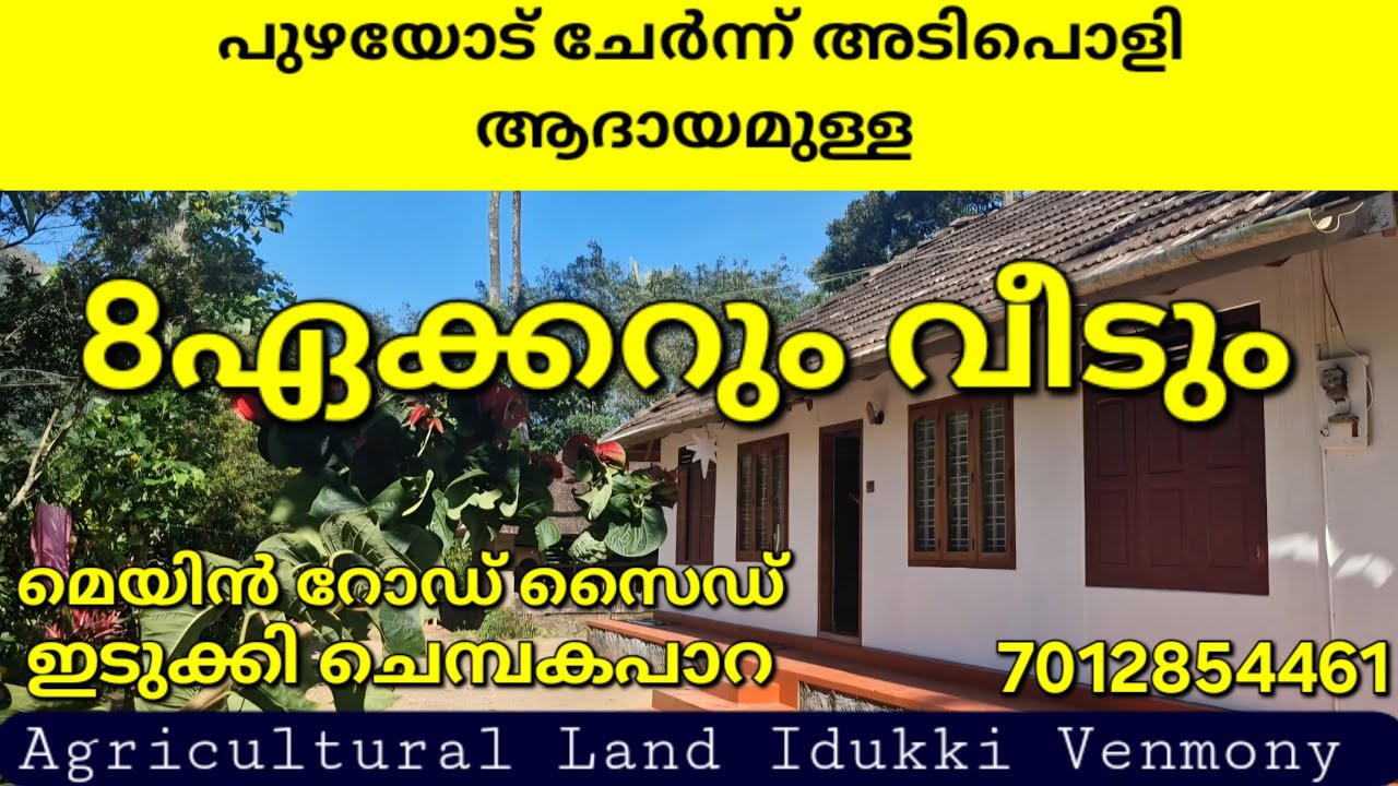 മെയിൻ റോഡ് സൈഡിൽ അടിപൊളി ആദായമുള്ള 8ഏക്കറും വീടും. ഒരു സൈഡ് പുഴ. ഇടുക്കി ചെമ്പകപ്പാറ 7012854461👇👇👇